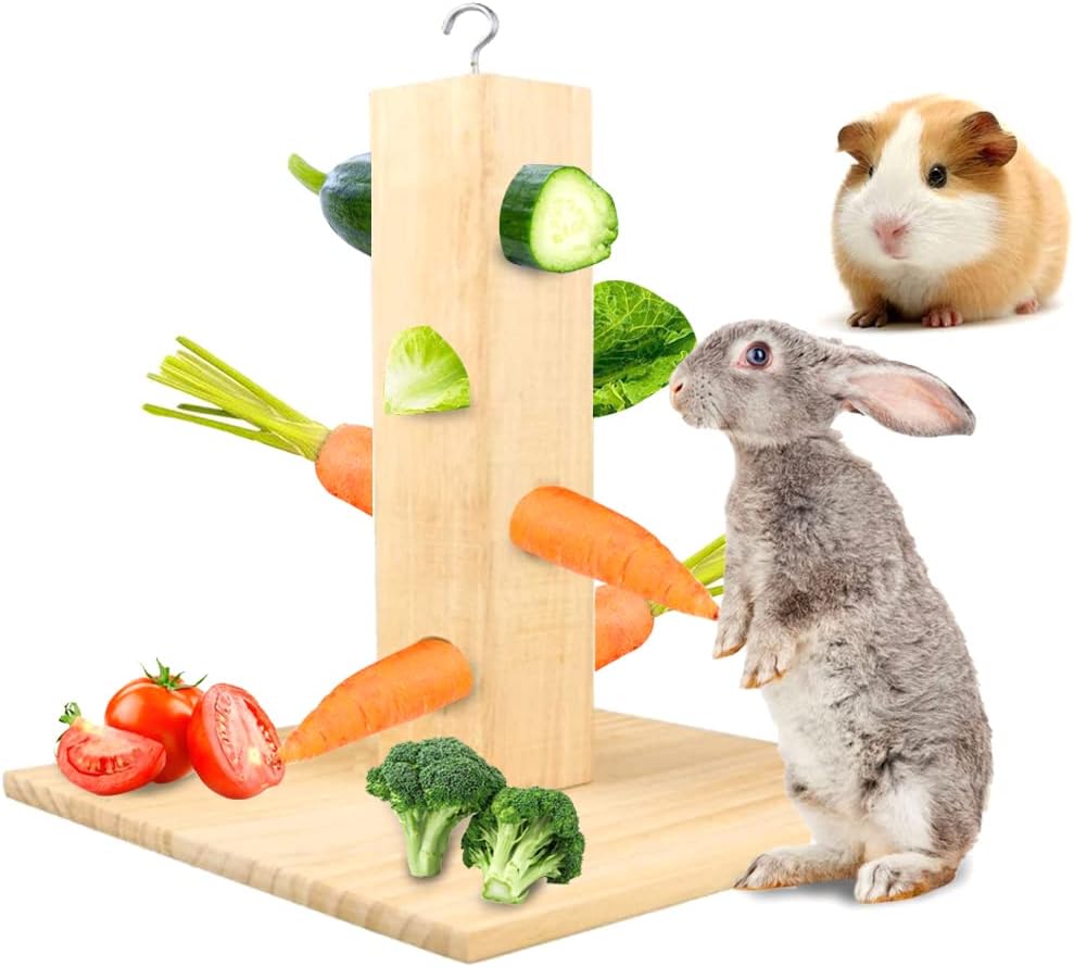 comederos y bebederos para conejos - 